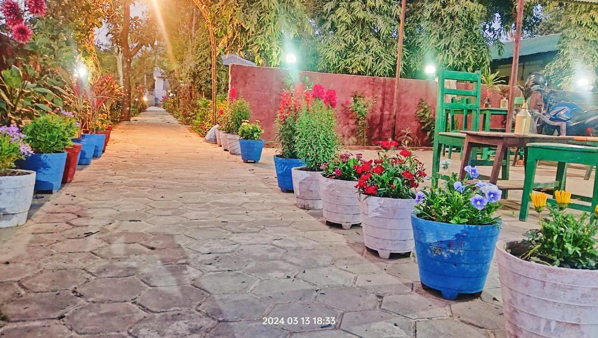 Hotel Butterfly - Peaceful Garden For Nature Lovers Sauraha Eksteriør bilde
