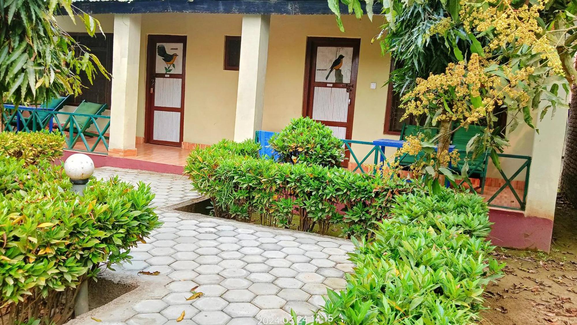 Hotel Butterfly - Peaceful Garden For Nature Lovers Sauraha Eksteriør bilde