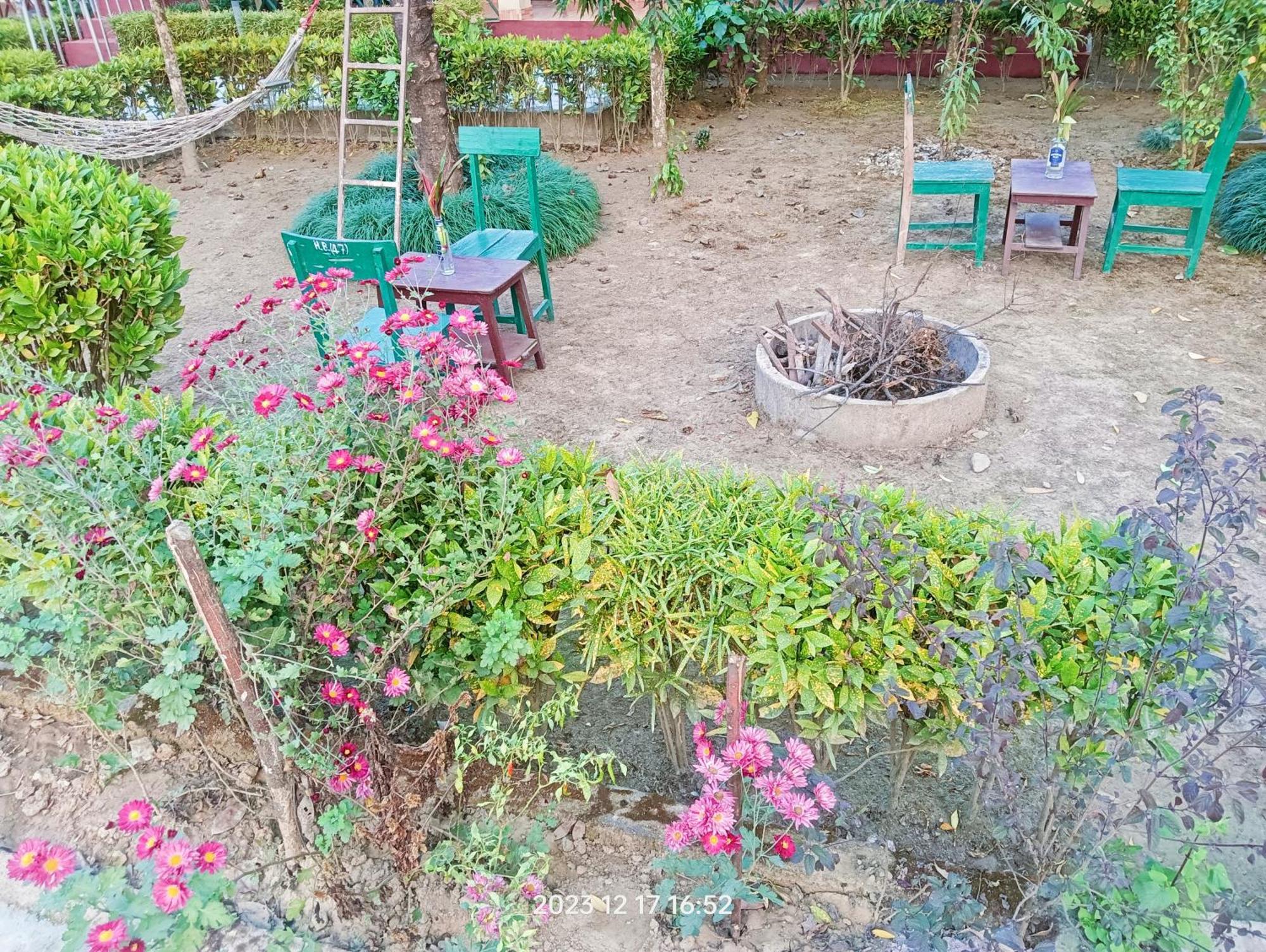 Hotel Butterfly - Peaceful Garden For Nature Lovers Sauraha Eksteriør bilde
