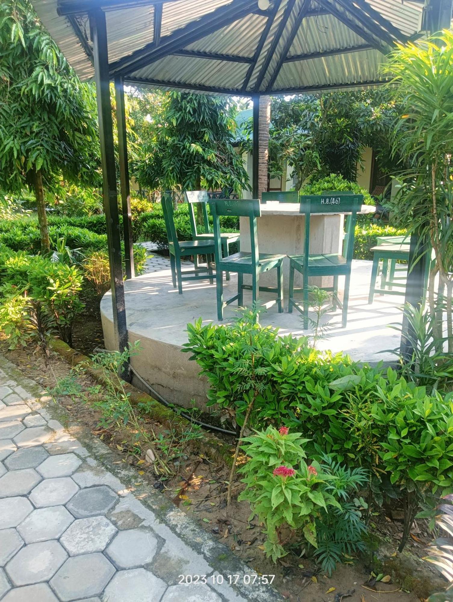 Hotel Butterfly - Peaceful Garden For Nature Lovers Sauraha Eksteriør bilde