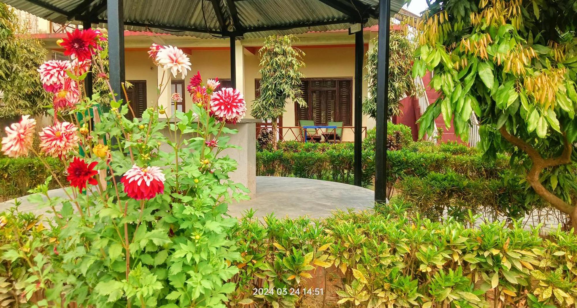 Hotel Butterfly - Peaceful Garden For Nature Lovers Sauraha Eksteriør bilde