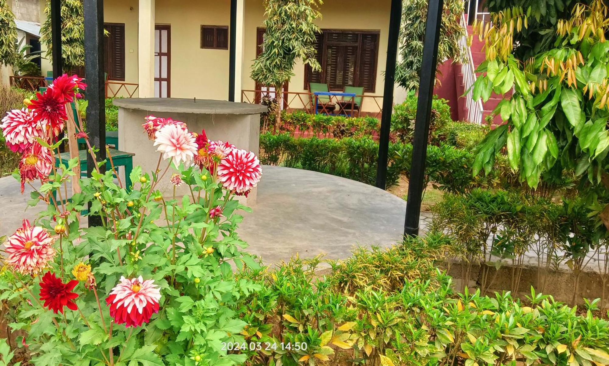Hotel Butterfly - Peaceful Garden For Nature Lovers Sauraha Eksteriør bilde