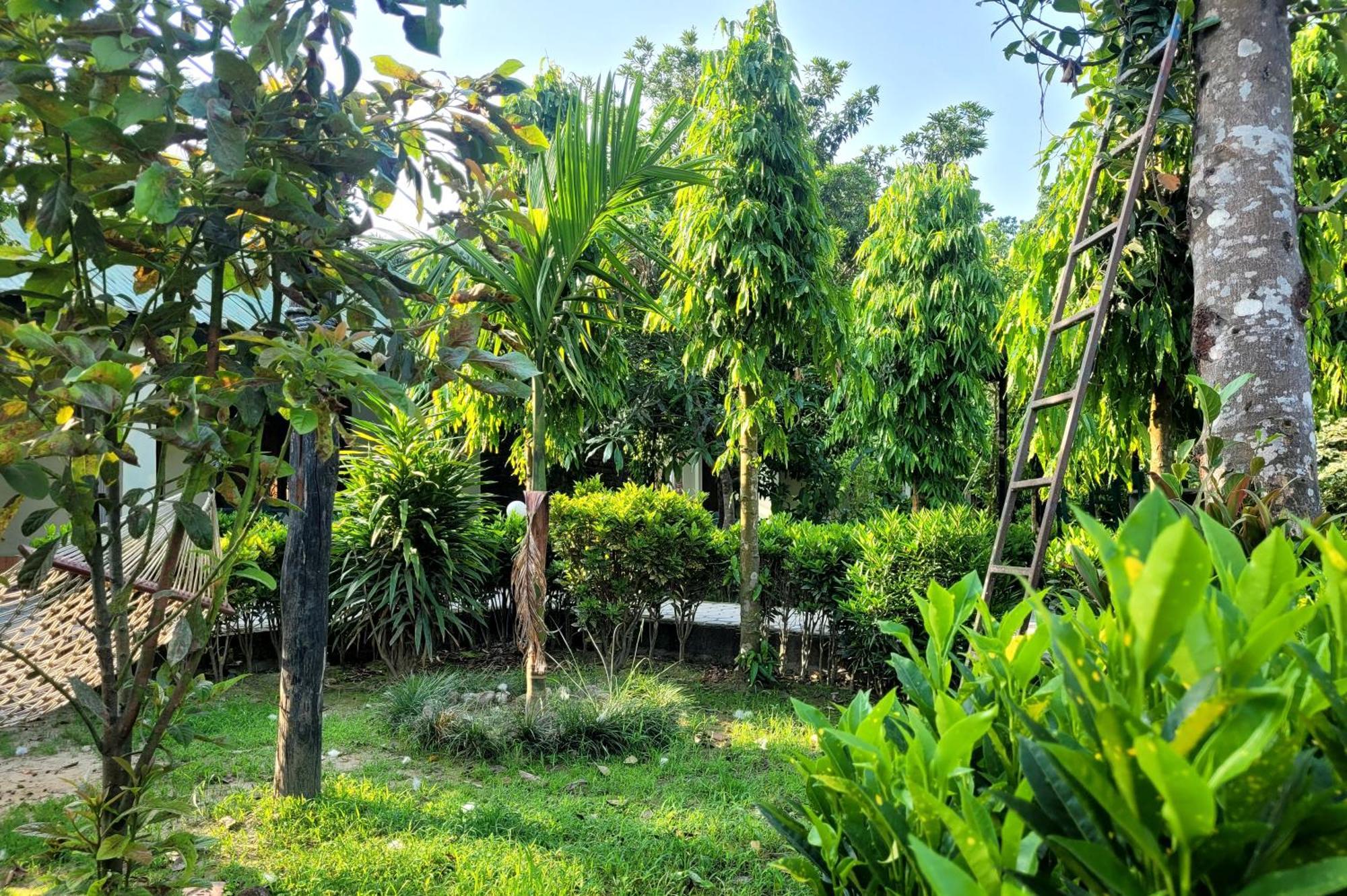 Hotel Butterfly - Peaceful Garden For Nature Lovers Sauraha Eksteriør bilde