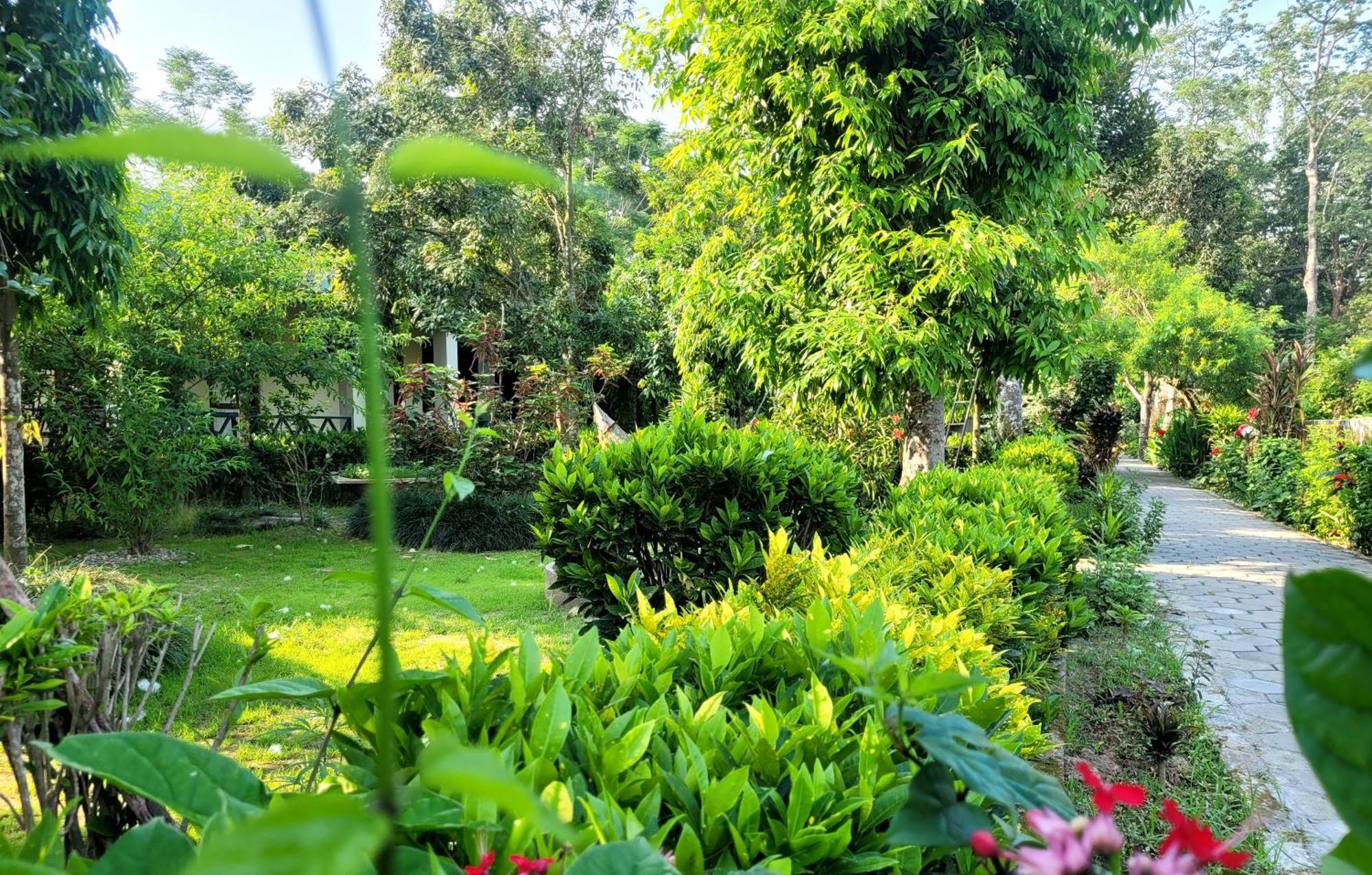 Hotel Butterfly - Peaceful Garden For Nature Lovers Sauraha Eksteriør bilde